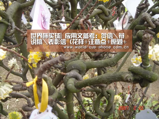 2026世界杯官网