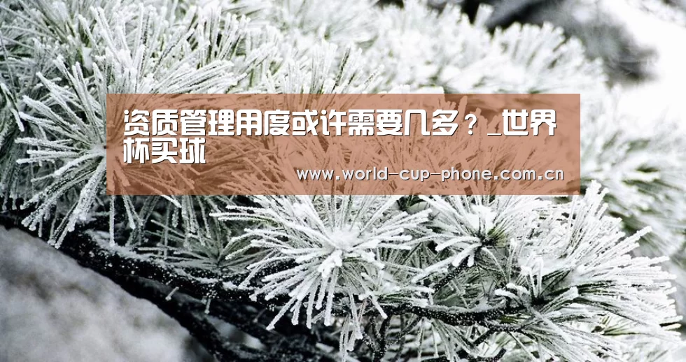 资质管理用度或许需要几多?_世界杯买球(图2) 2026世界杯