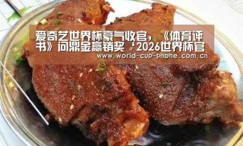 爱奇艺世界杯豪气收官,《体育评书》问鼎金赢销奖‘2026世界杯官网’(图3) 2026世界杯