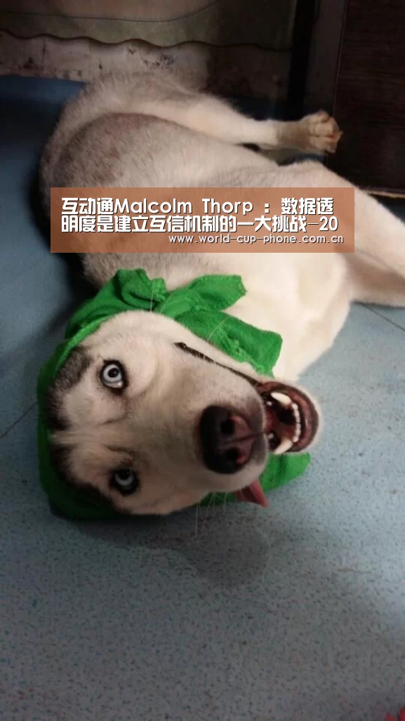 互动通Malcolm Thorp : 数据透明度是建立互信机制的一大挑战-2026世界杯(图1) 2026世界杯