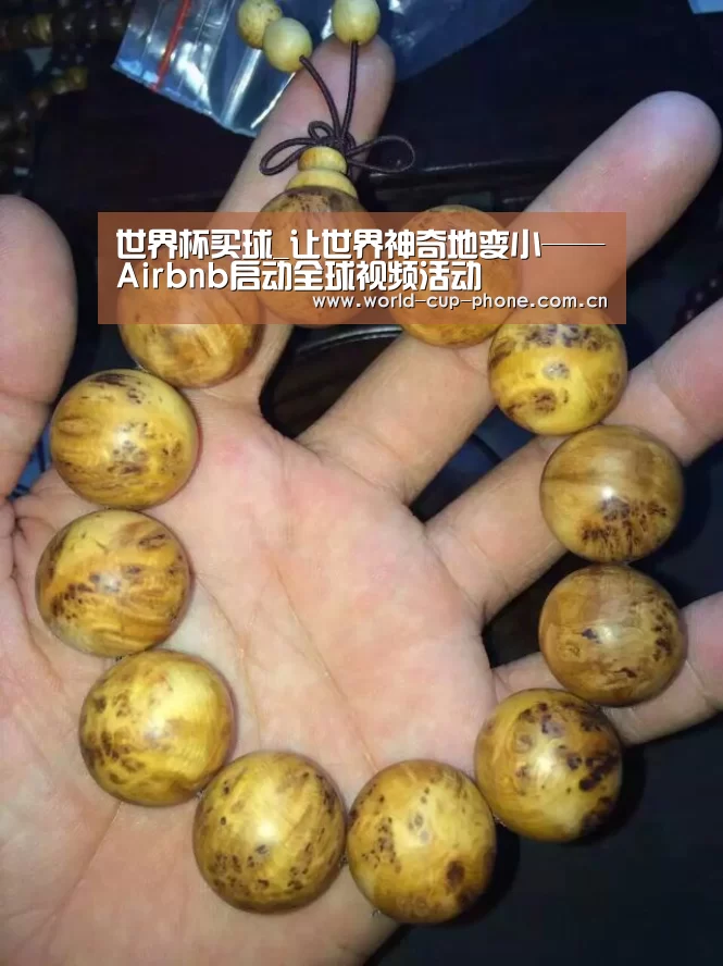 2026世界杯官网