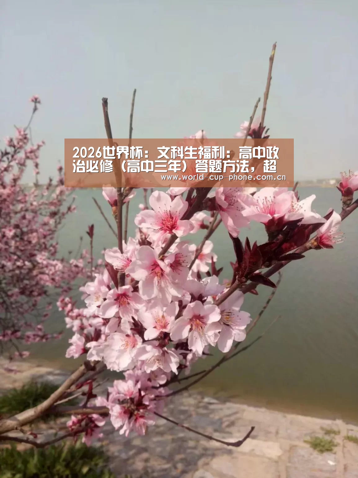 2026世界杯