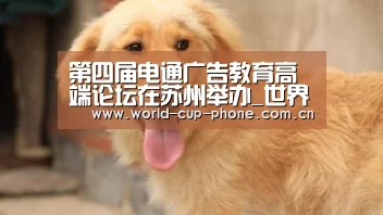 第四届电通广告教育高端论坛在苏州举办_世界杯买球(图1) 2026世界杯